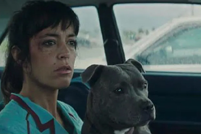 Cannes Awards Are Going to the Dogs