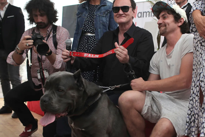 Quentin Tarantino’s ‘Hollywood’ Wins First Cannes Honor: A Palm Dog for Pitbull Star Brandy